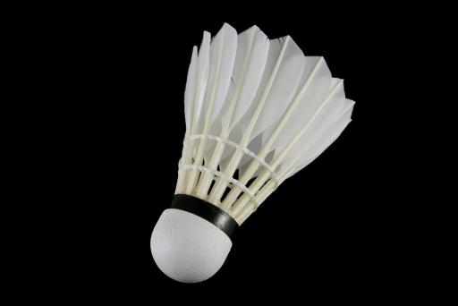 zoga za badminton